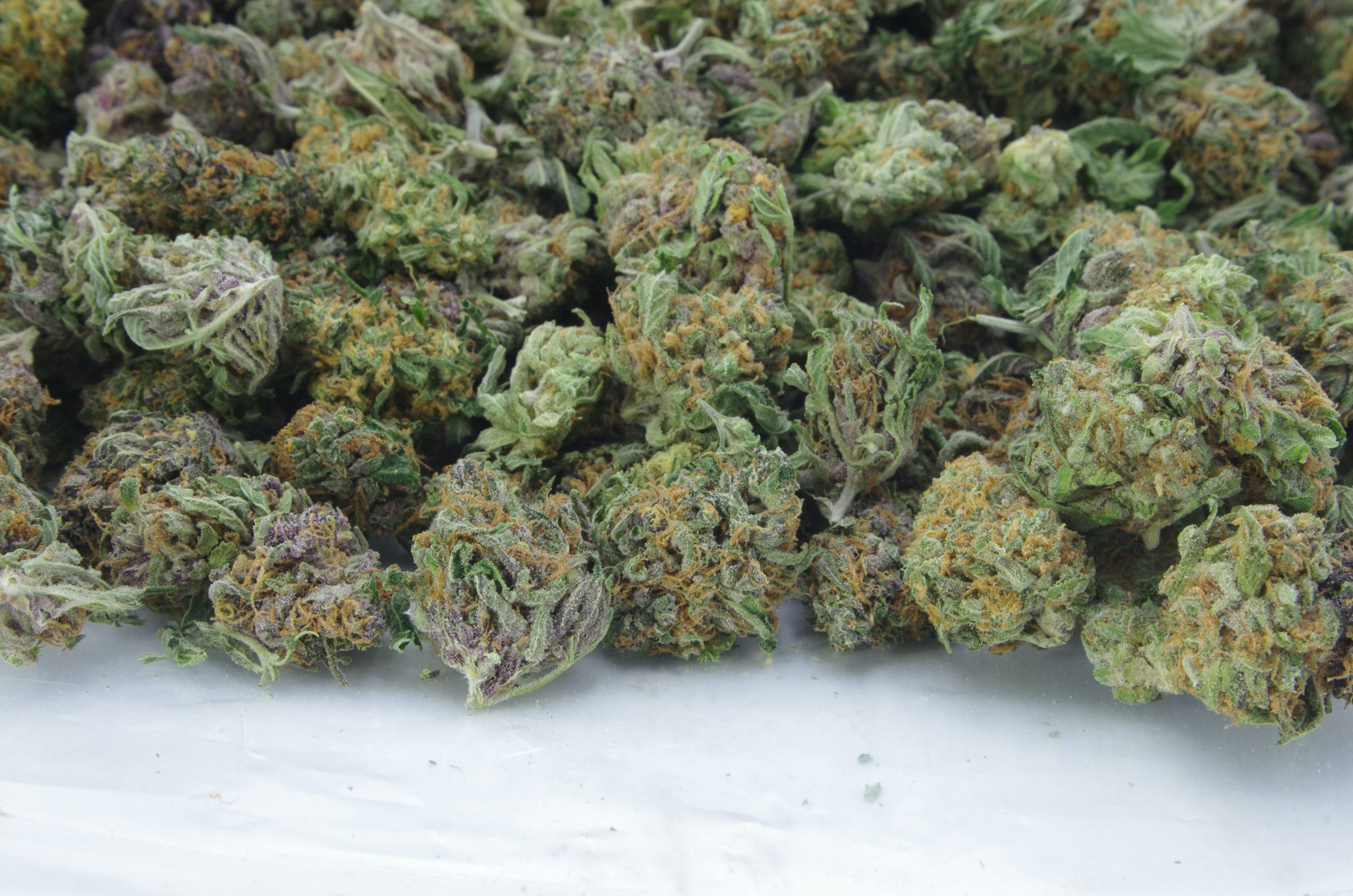 cherry og smalls bag scaled Cherry OG Smalls Oz Special