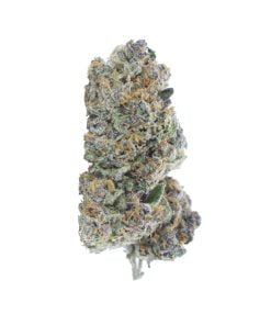 buy mendocino purps online