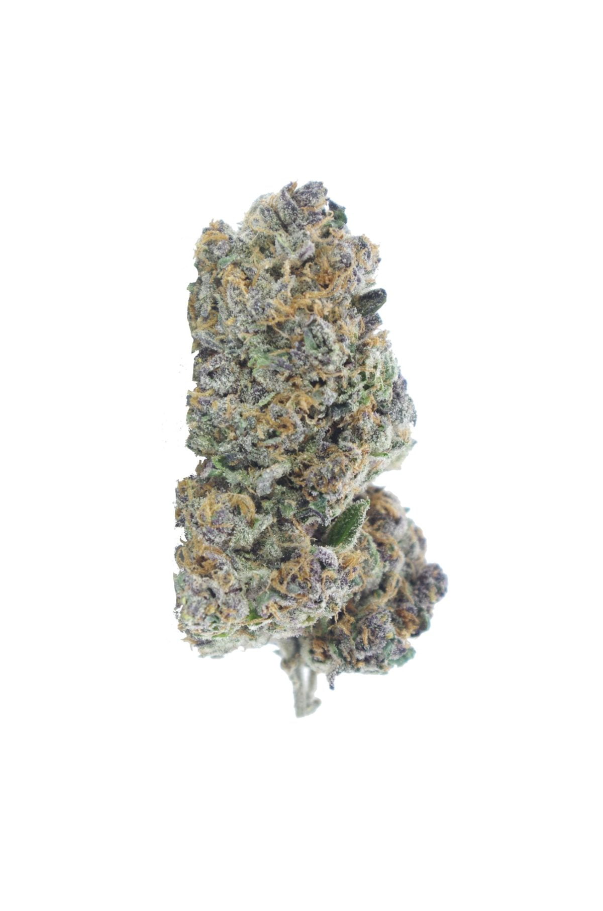 mendocino purps bud scaled e1676009795708 Mendocino Purps (Oz Special)