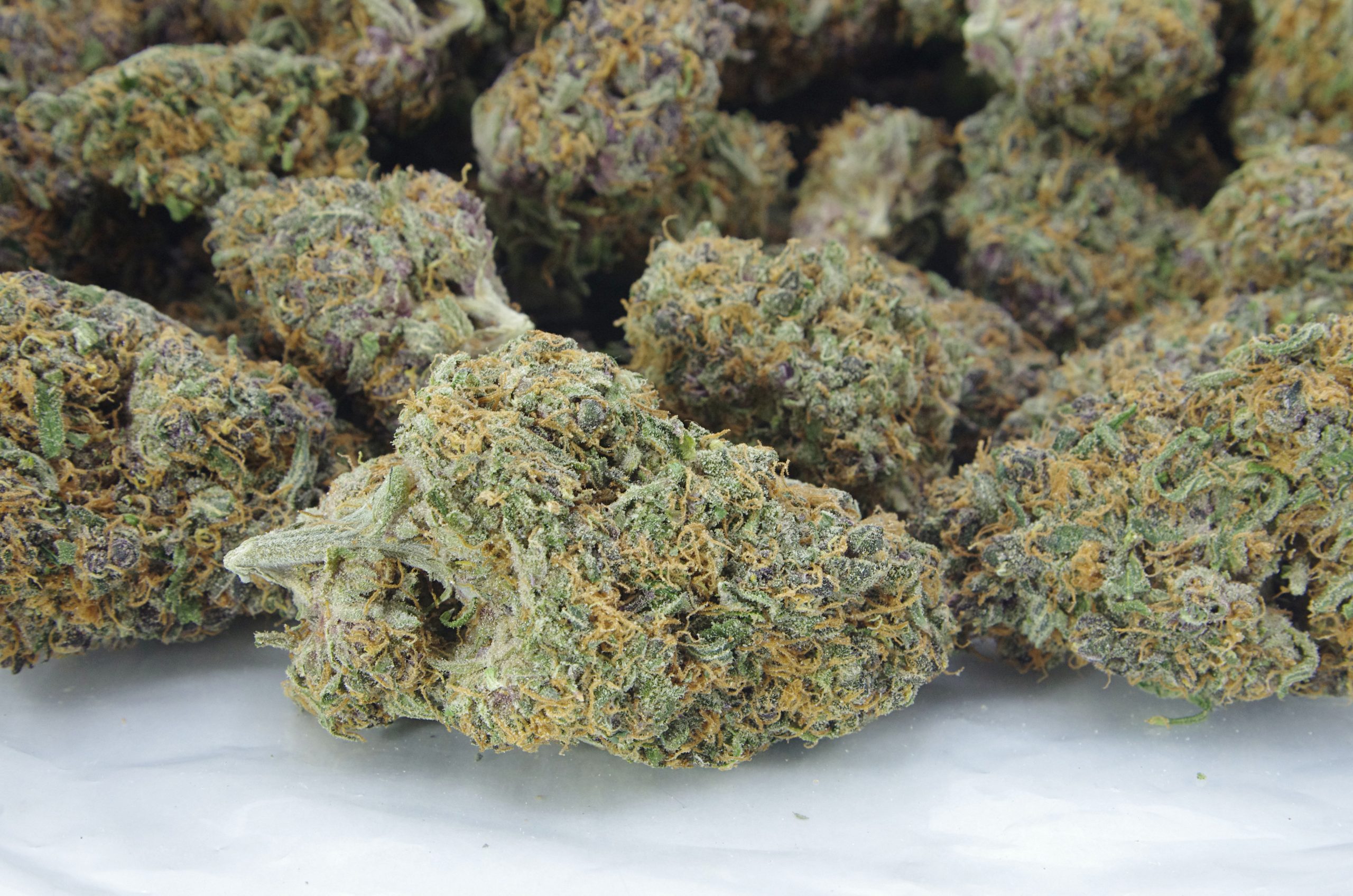 Hawaiian Punch BAg scaled Hawaiian Punch Oz Special