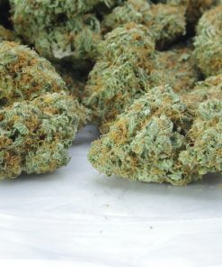 Original haze bag Original haze bag