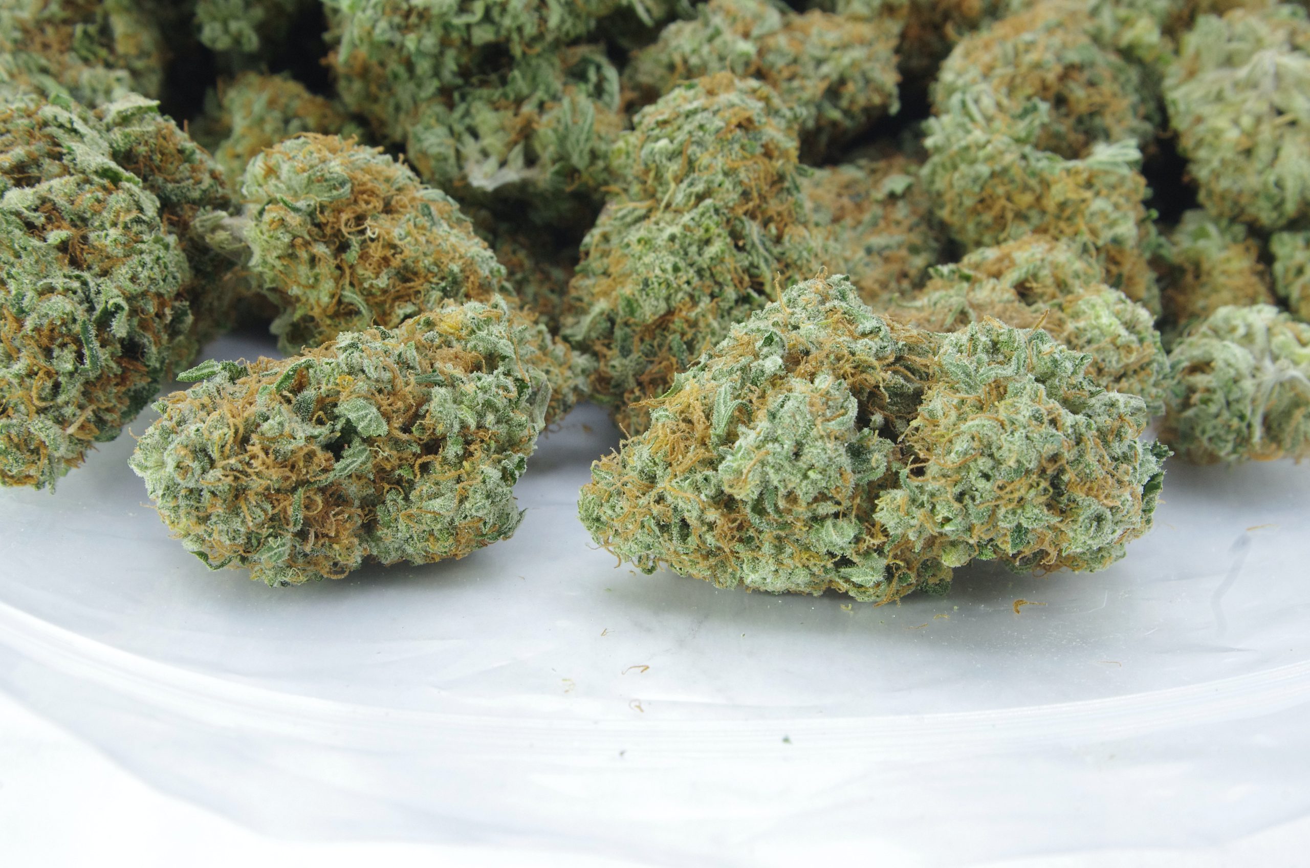 Original haze bag scaled Original Haze Oz Special