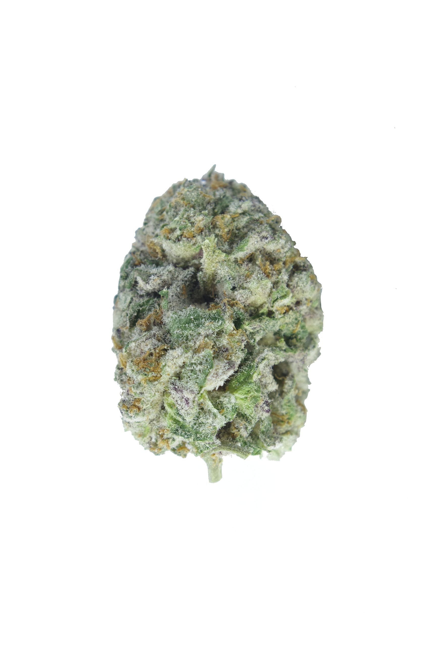 Purple Pineapple bud scaled Purple Pineapple (1/8ths)