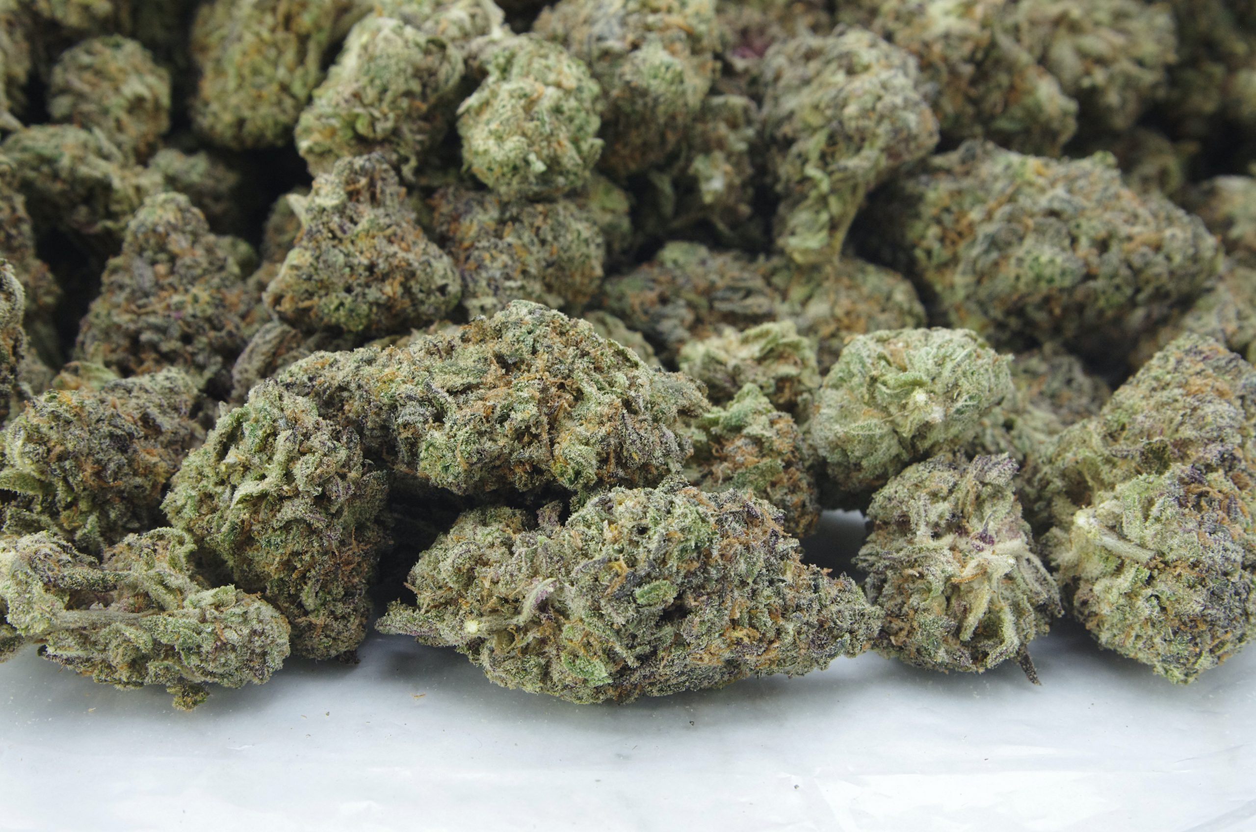 Purple Zkittles Bag scaled Purple Zkittlez Oz Special