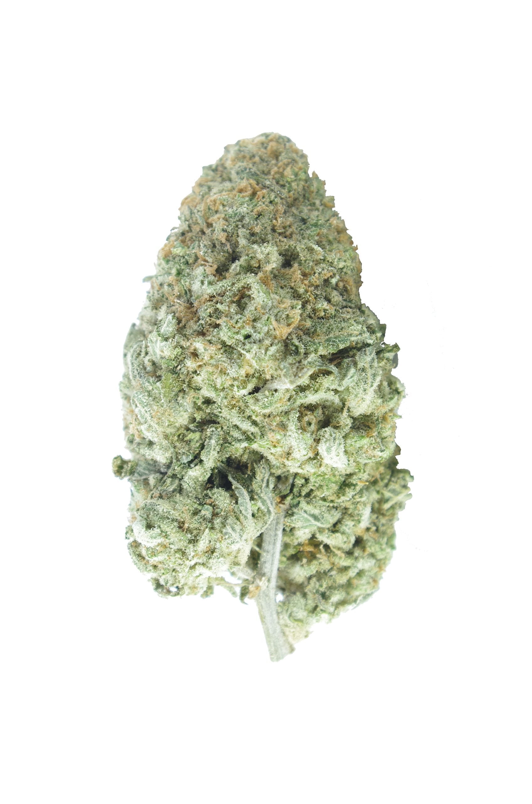 Sour Lemon Diesel Bud scaled Lemon Sour Diesel Oz Special