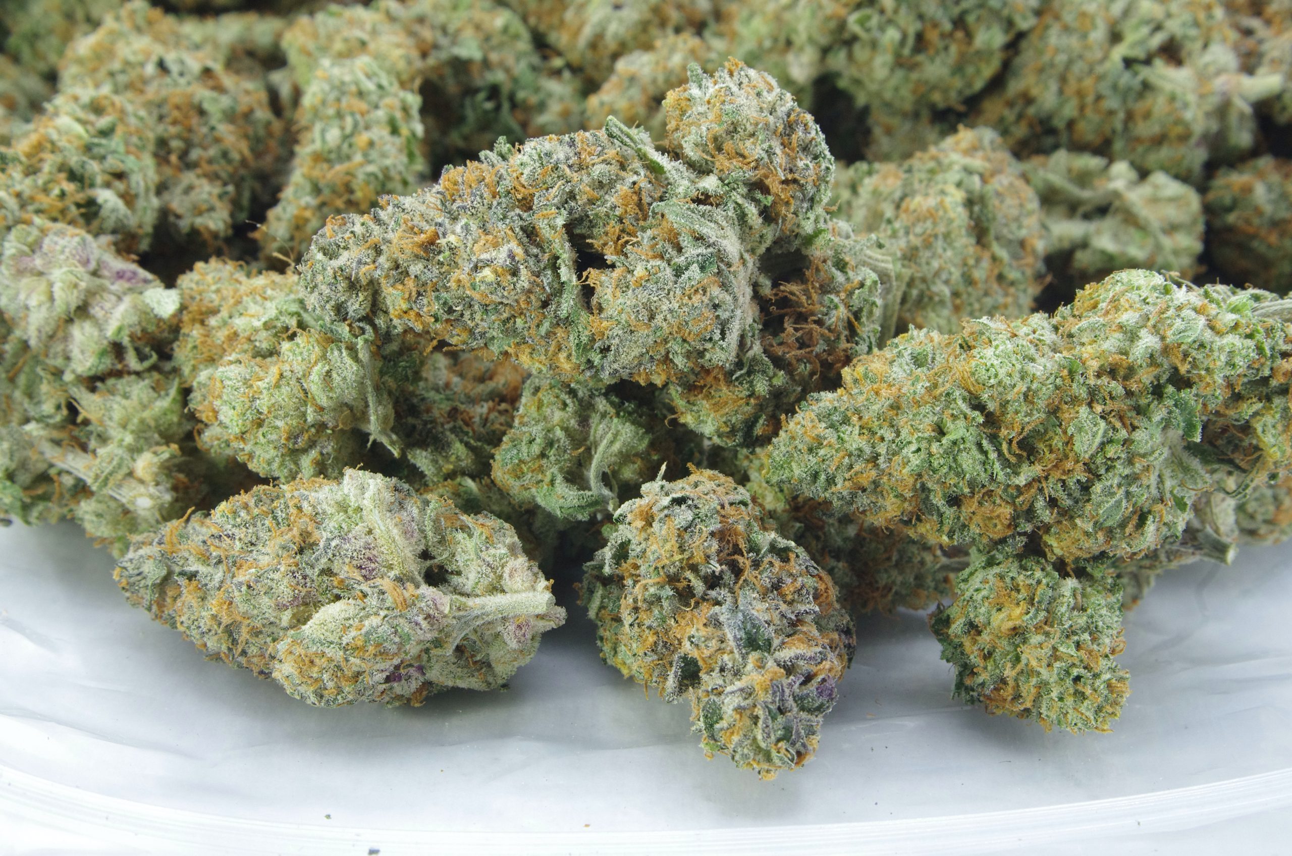 Sweet Funk bigs Bag scaled Sweet Funk Oz Special