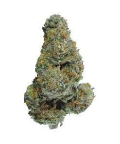 buy sweet funk online