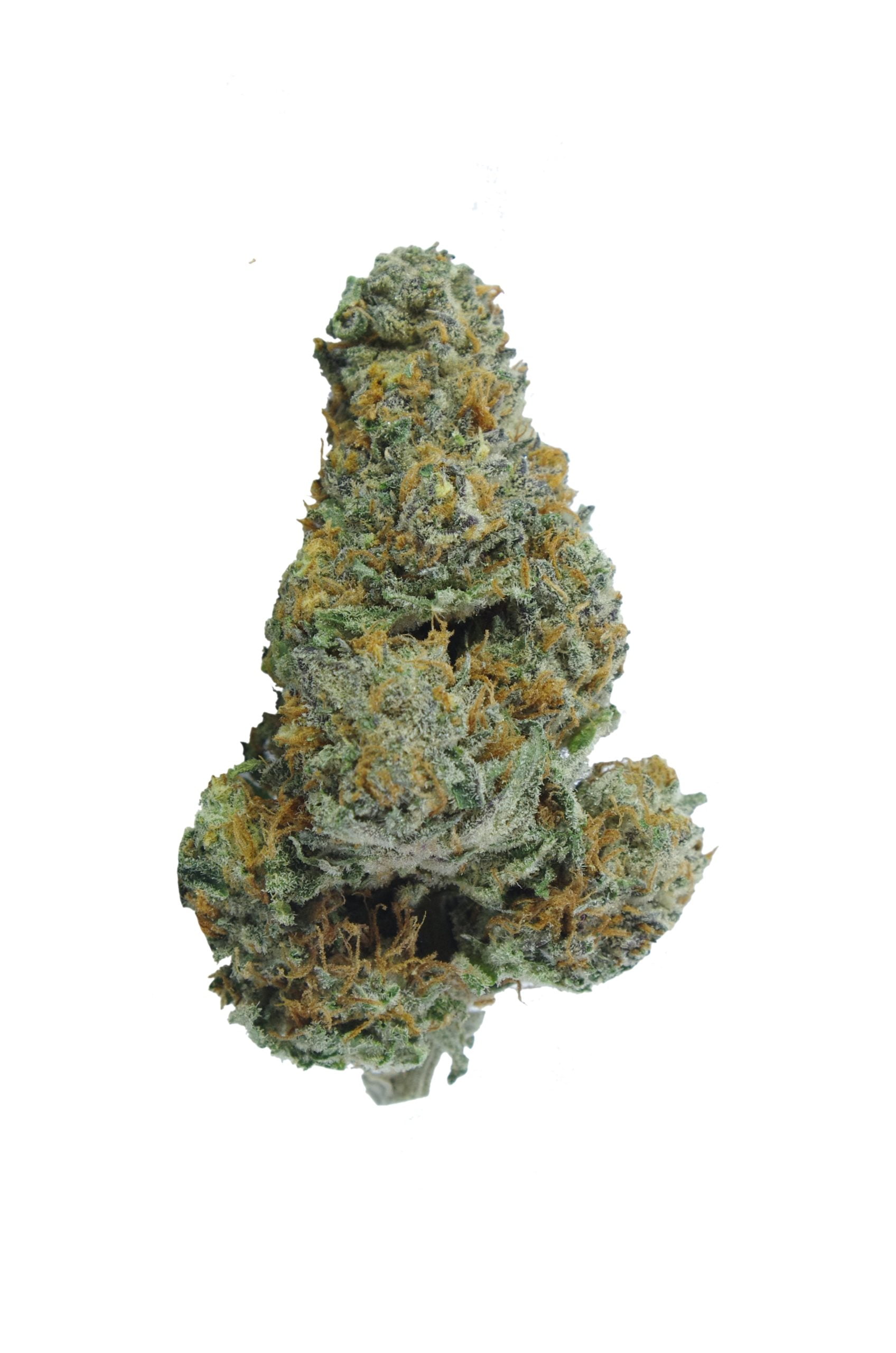 Sweet funk bud scaled Sweet Funk (1/8ths)