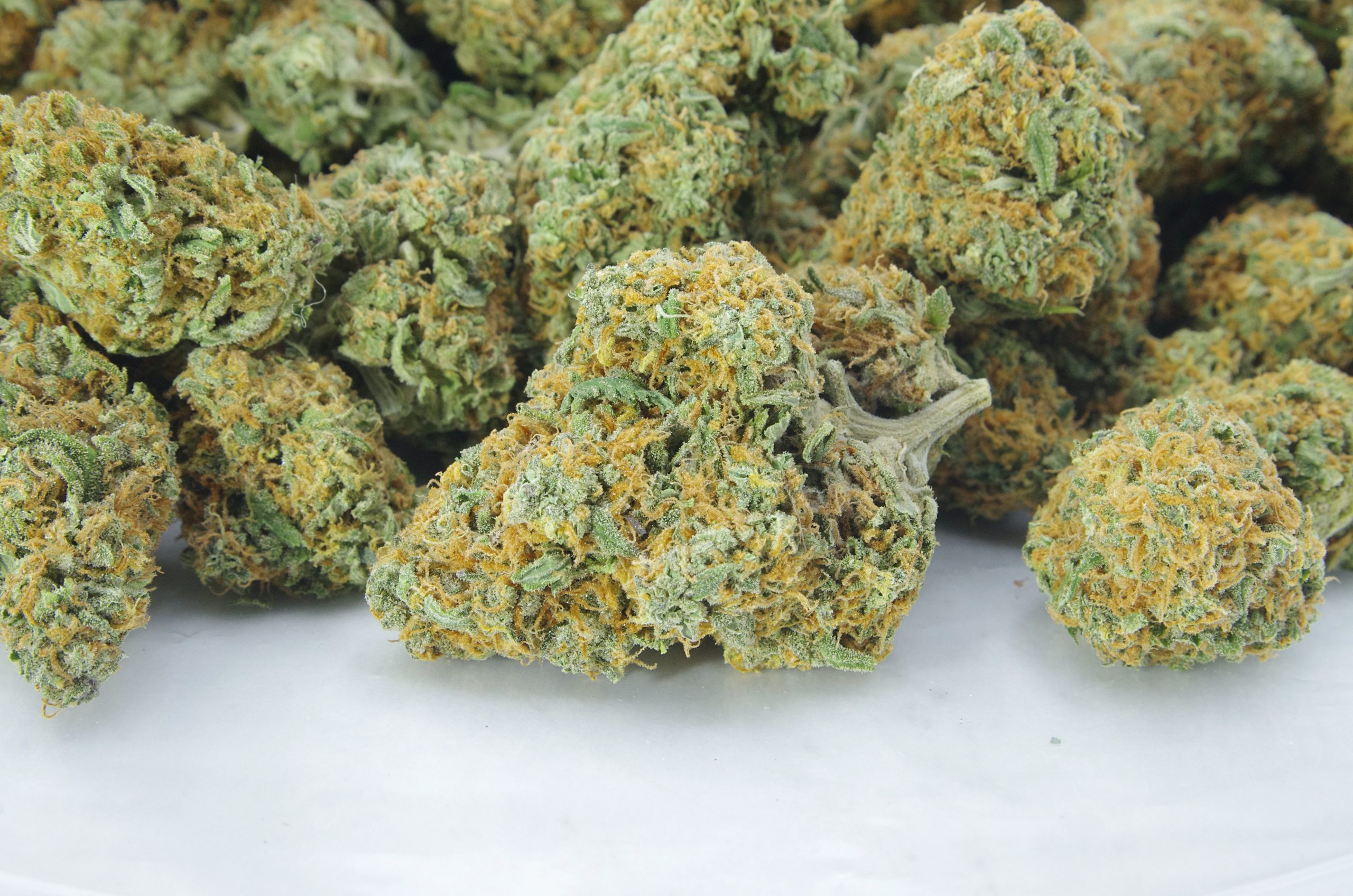 ghost train bag scaled Ghost Train Haze Oz Special