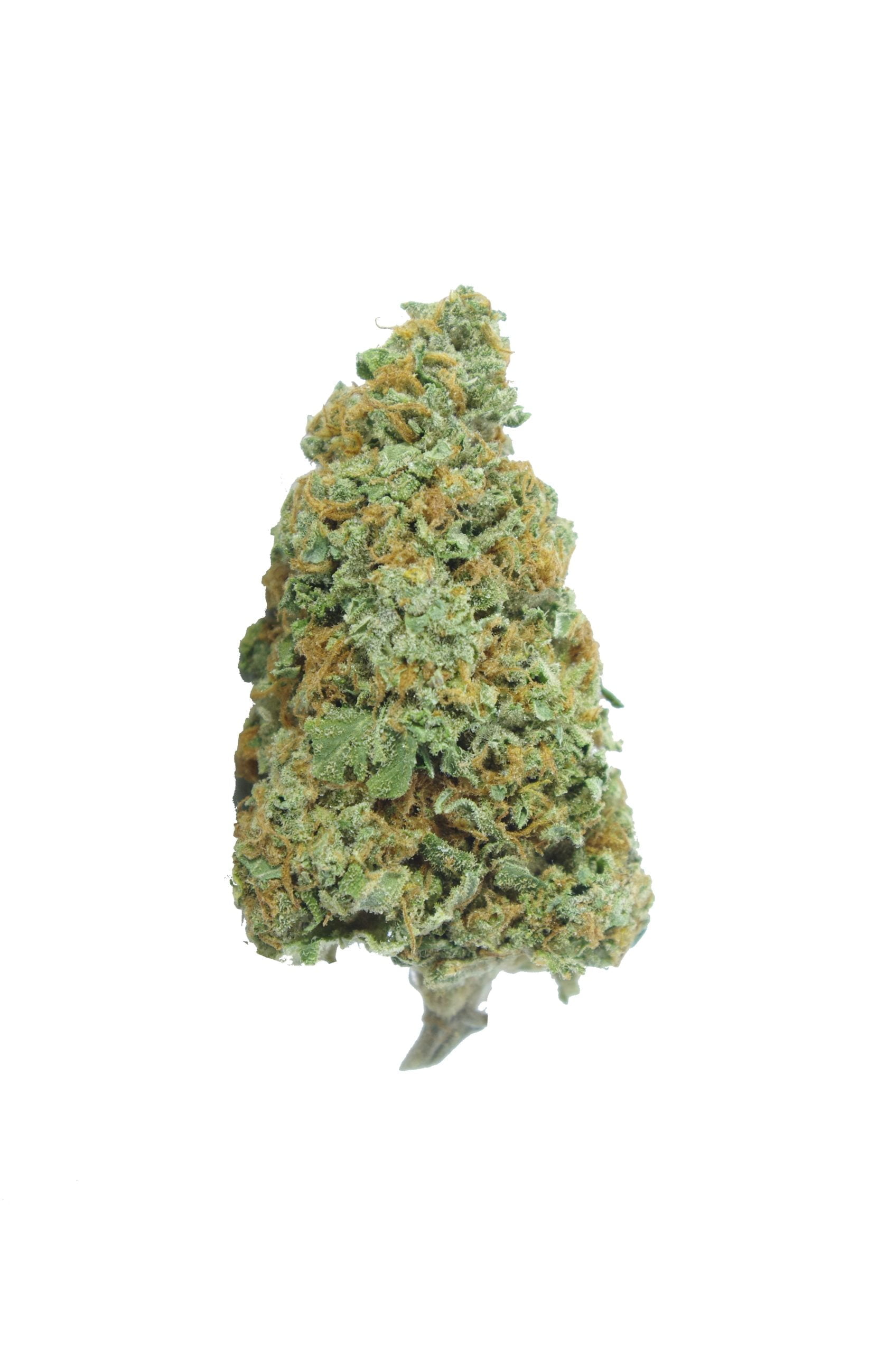 ghost train haze scaled Ghost Train Haze Oz Special
