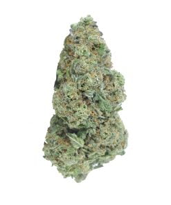 buy golden pineapple online