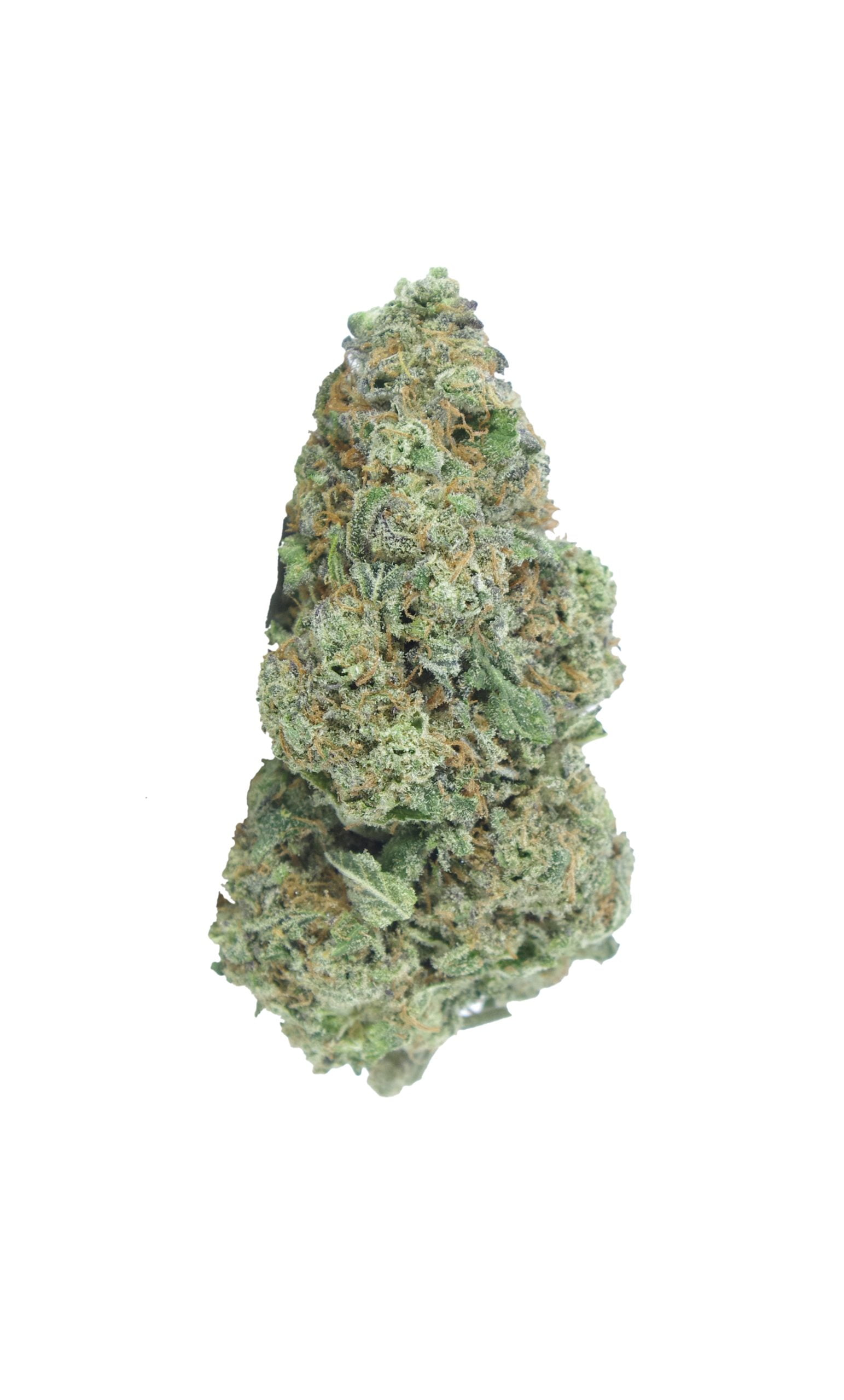 golden pineapple bud scaled Golden Pineapple (Oz Special)