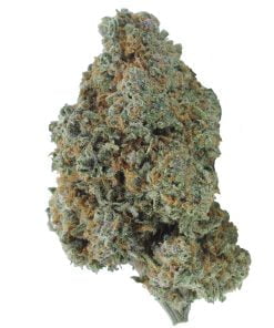 buy laughing buddha online