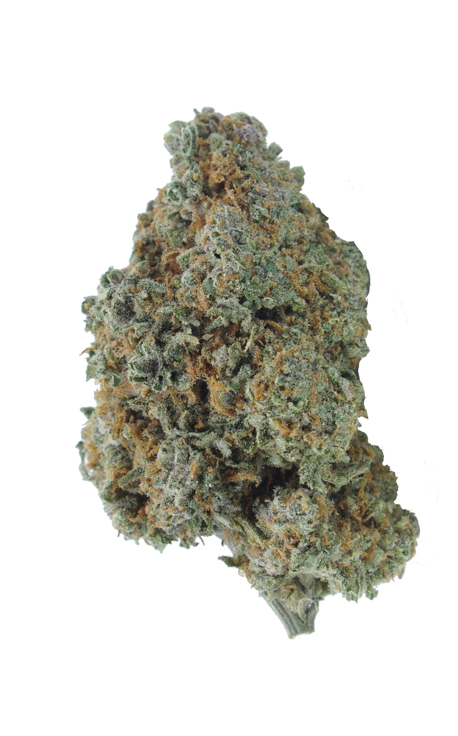 laughing buddha bud scaled Laughing Buddha Oz Special
