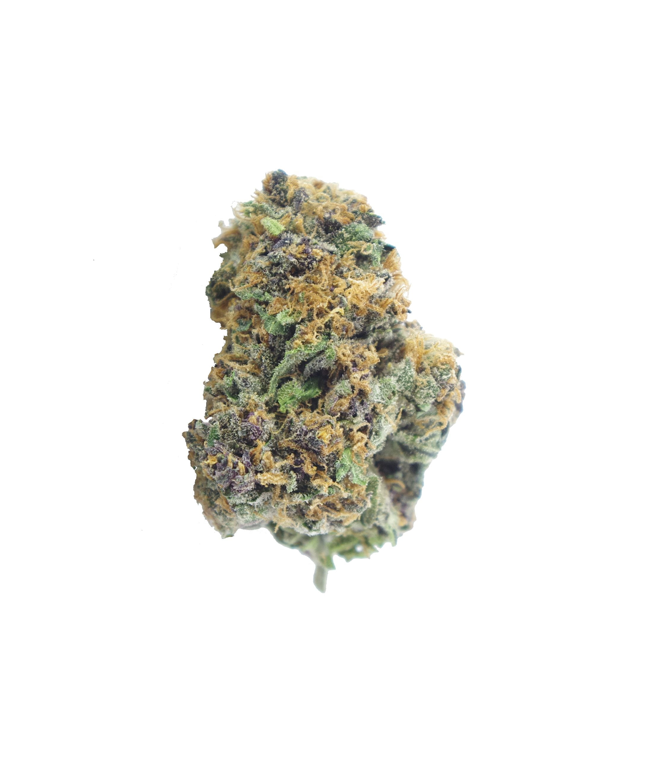 orange crush bud scaled Orange Crush (Oz Special)