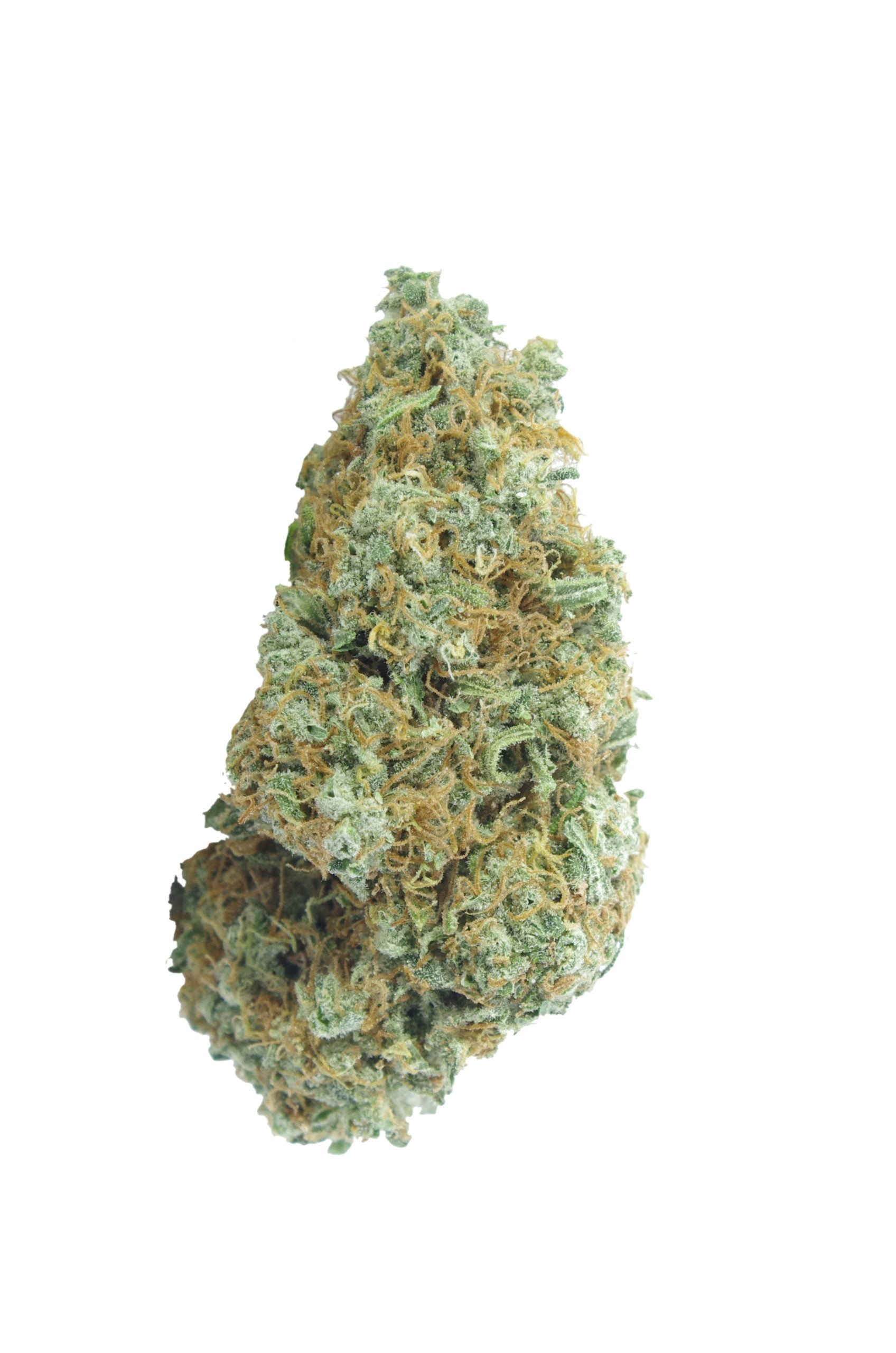 original haze bud scaled Original Haze Oz Special