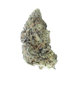 buy purple zkittles online