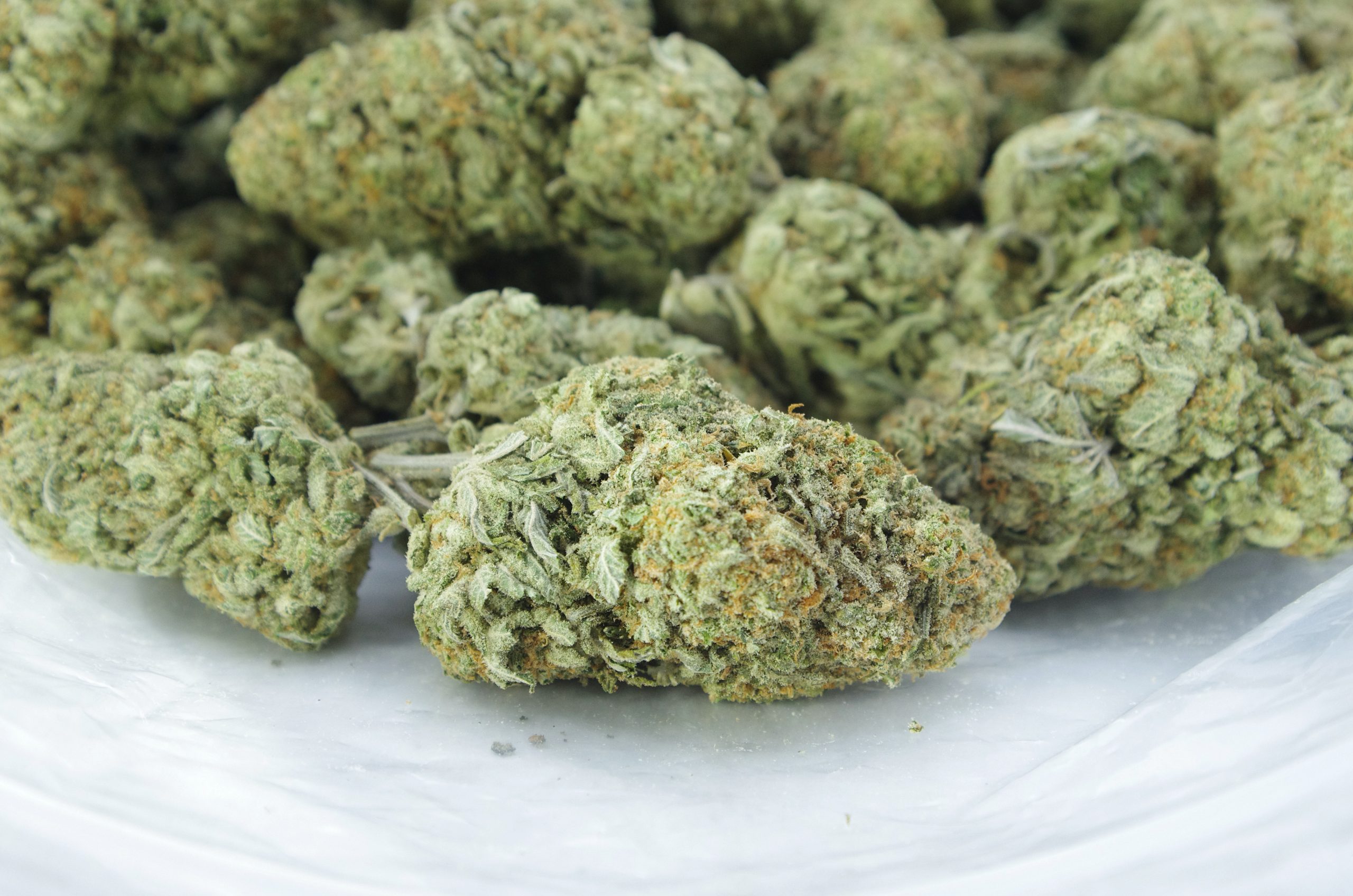 sour lemon diesel bag scaled Lemon Sour Diesel Oz Special