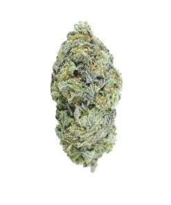 buy super skunk online