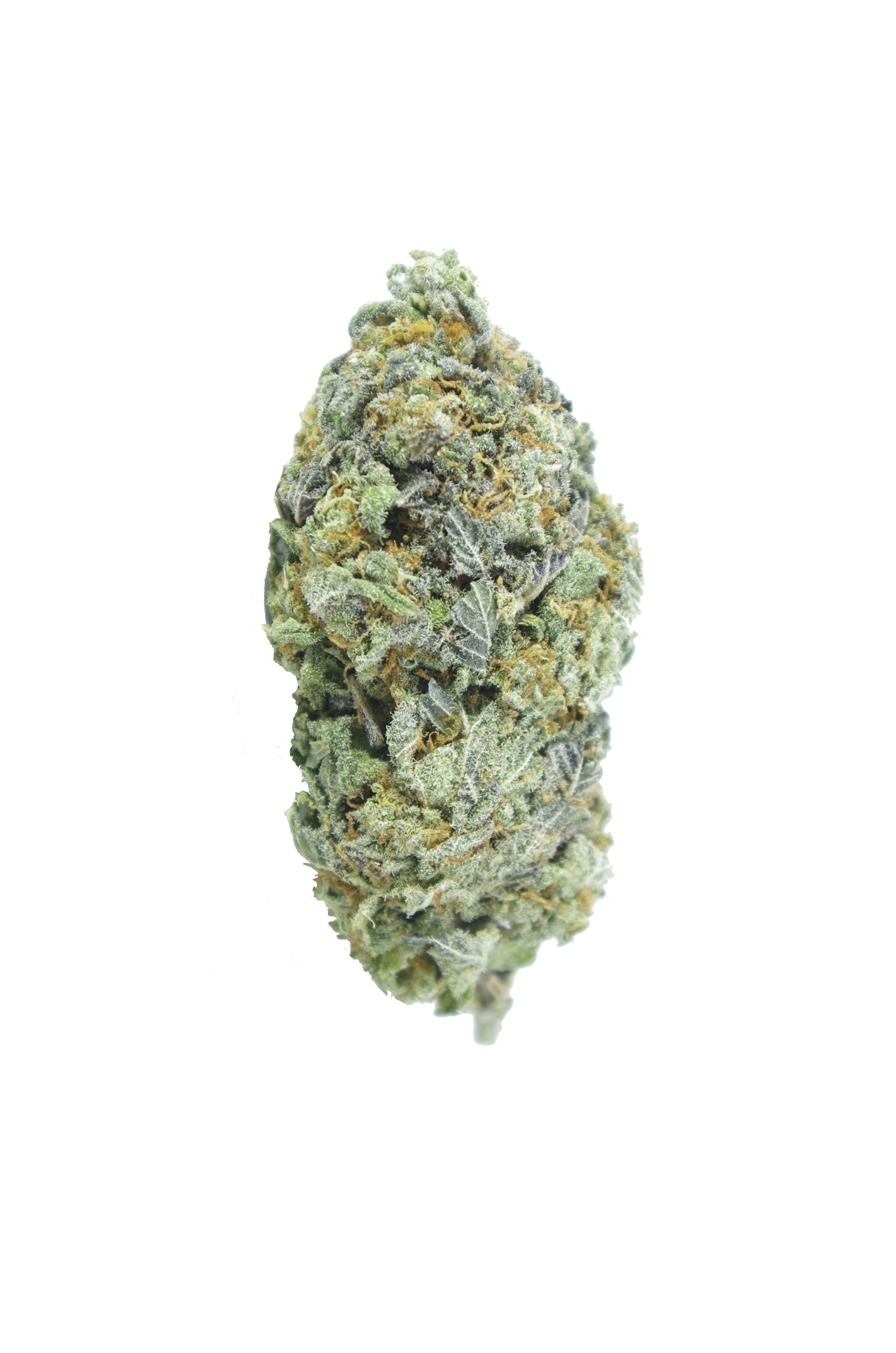 super skunk 4 bud scaled Super Skunk Oz Special