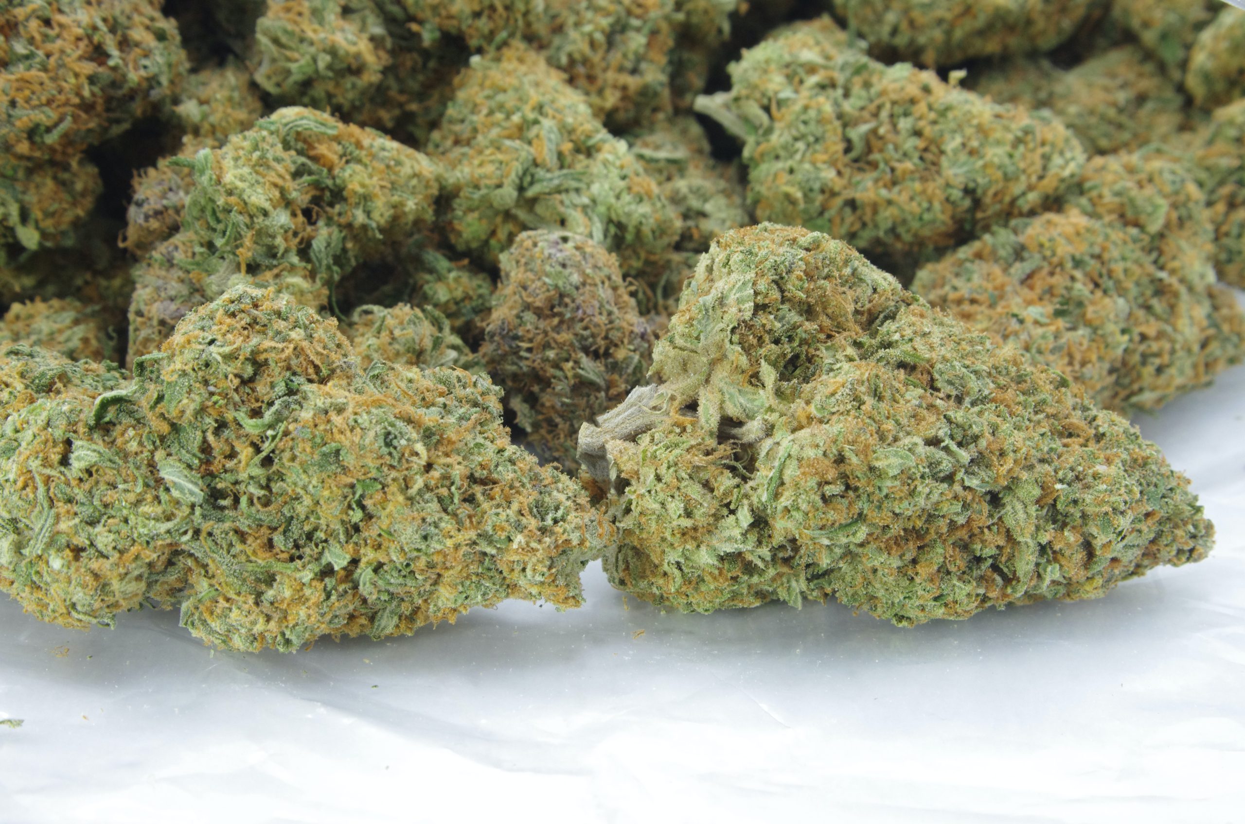 watermelon haze bag scaled Watermelon Haze Oz Special