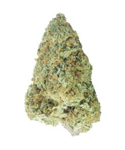 buy watermelon haze online