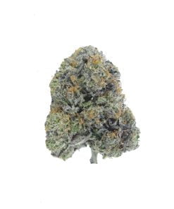 buy black label kush online