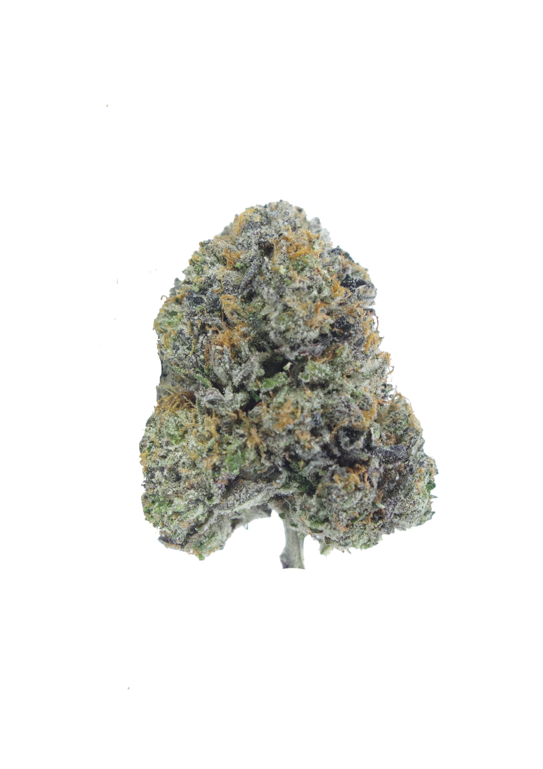 Black Label Kush Bud scaled Black Label Kush Oz Special