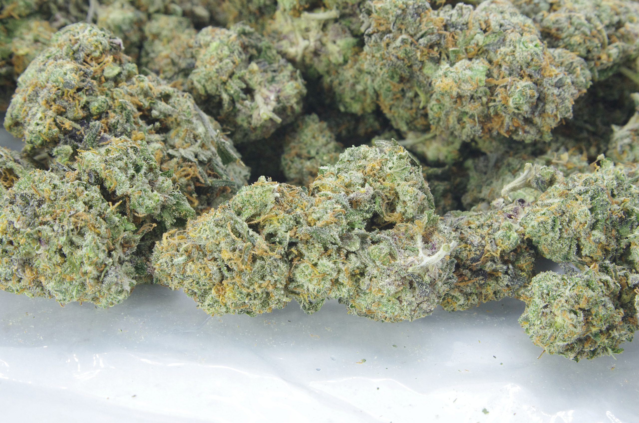 Black Label Kush bag scaled Black Label Kush Oz Special