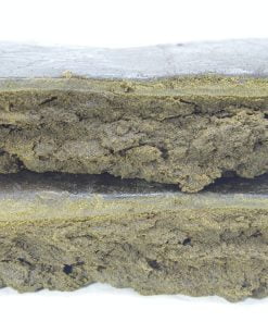 Two rectangular pieces of compressed material stacked horizontally, showing a layered interior texture and slightly rough surface on a plain background.