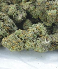 Gas Mask Bagg