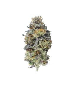 buy grape face online