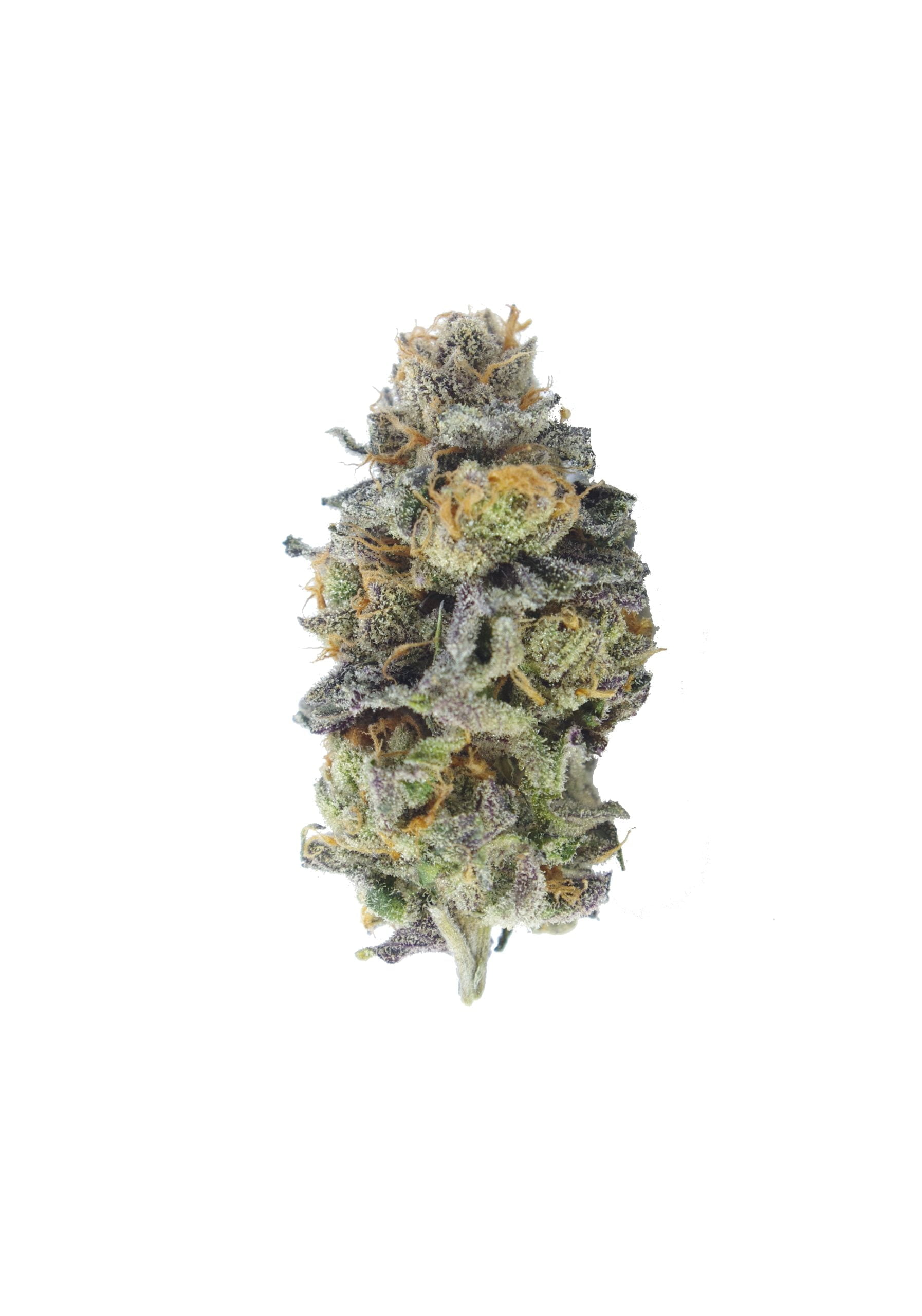 Gastro Pop bud scaled Van Island Exotics - Grape Face