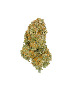 Buy Passionfruit Online