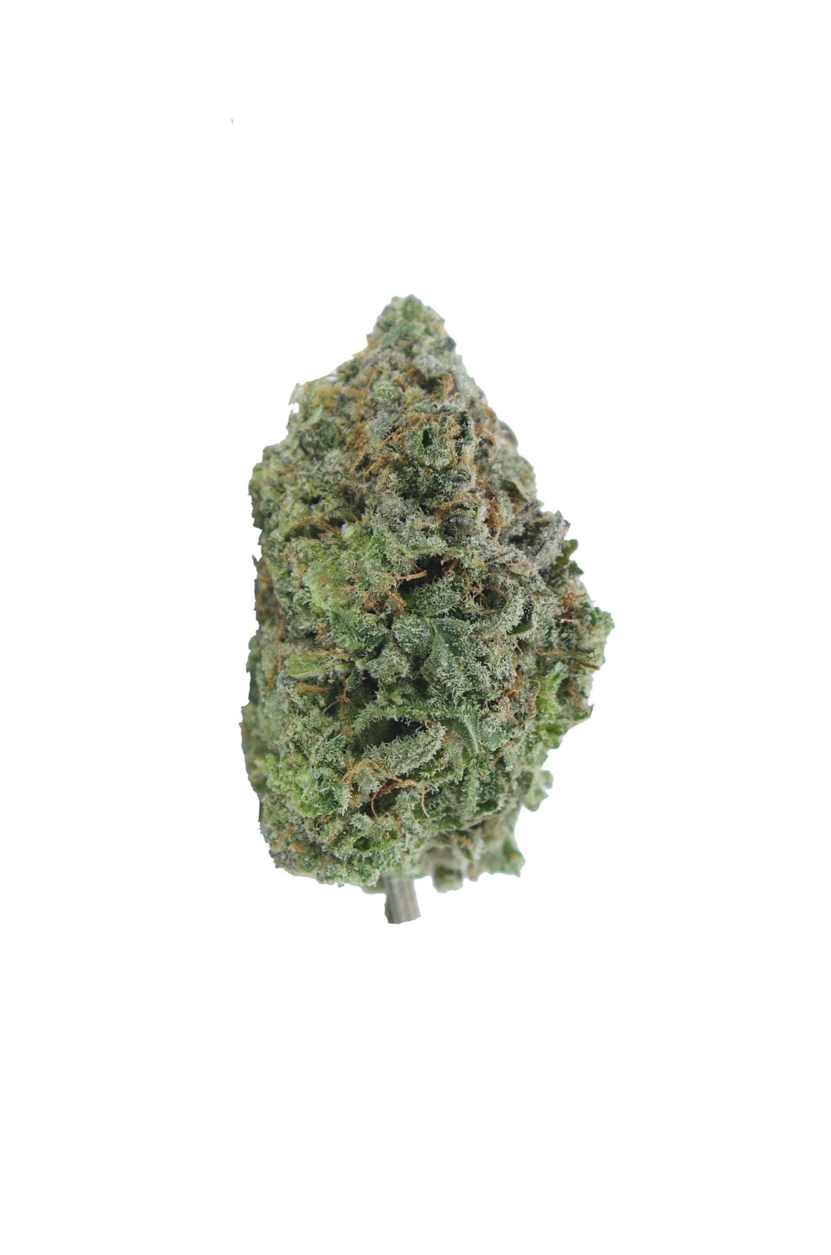 Lemon Candy bud Van Isle Exotics scaled Van Island Exotics - Lemon Candy (Oz Special)