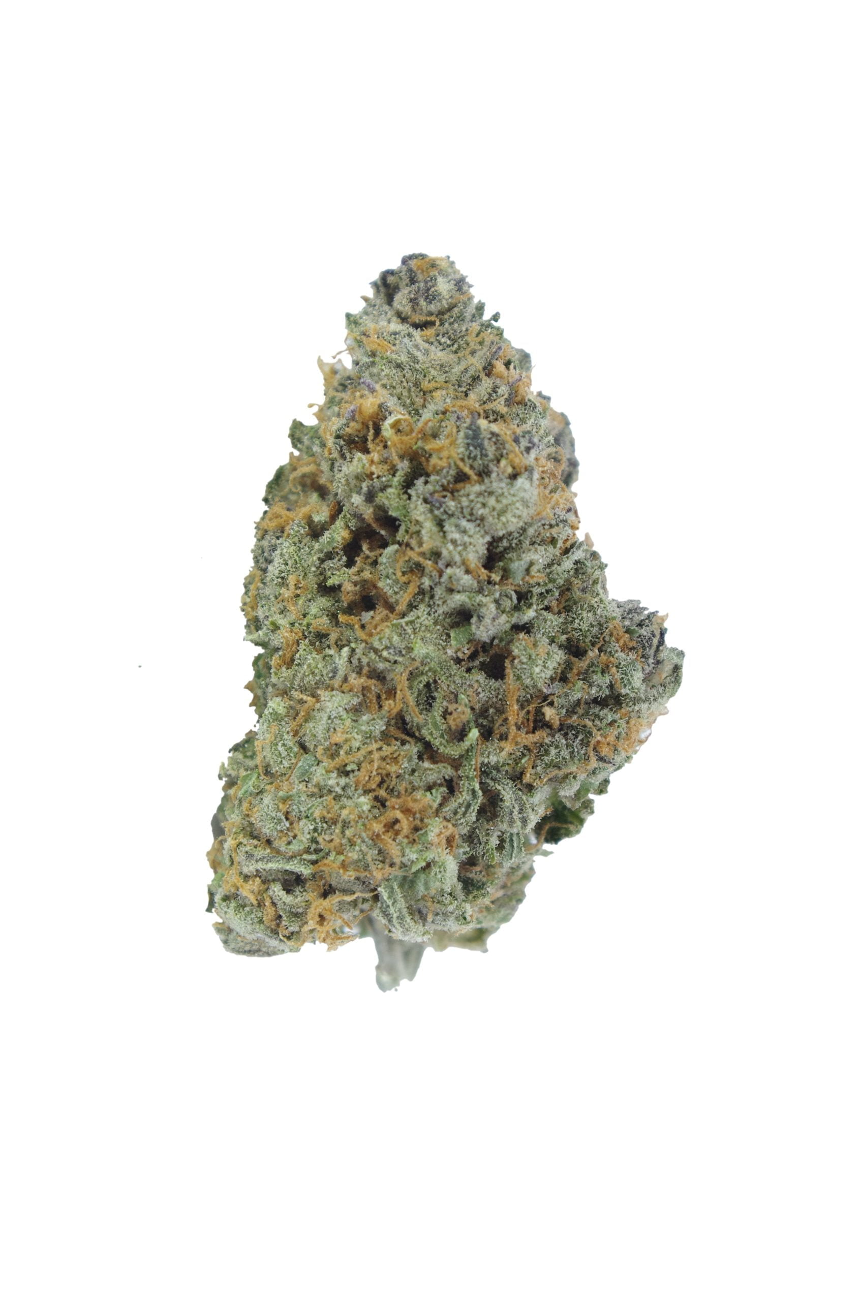 OG CHeese bud scaled OG Cheese (Oz Special)