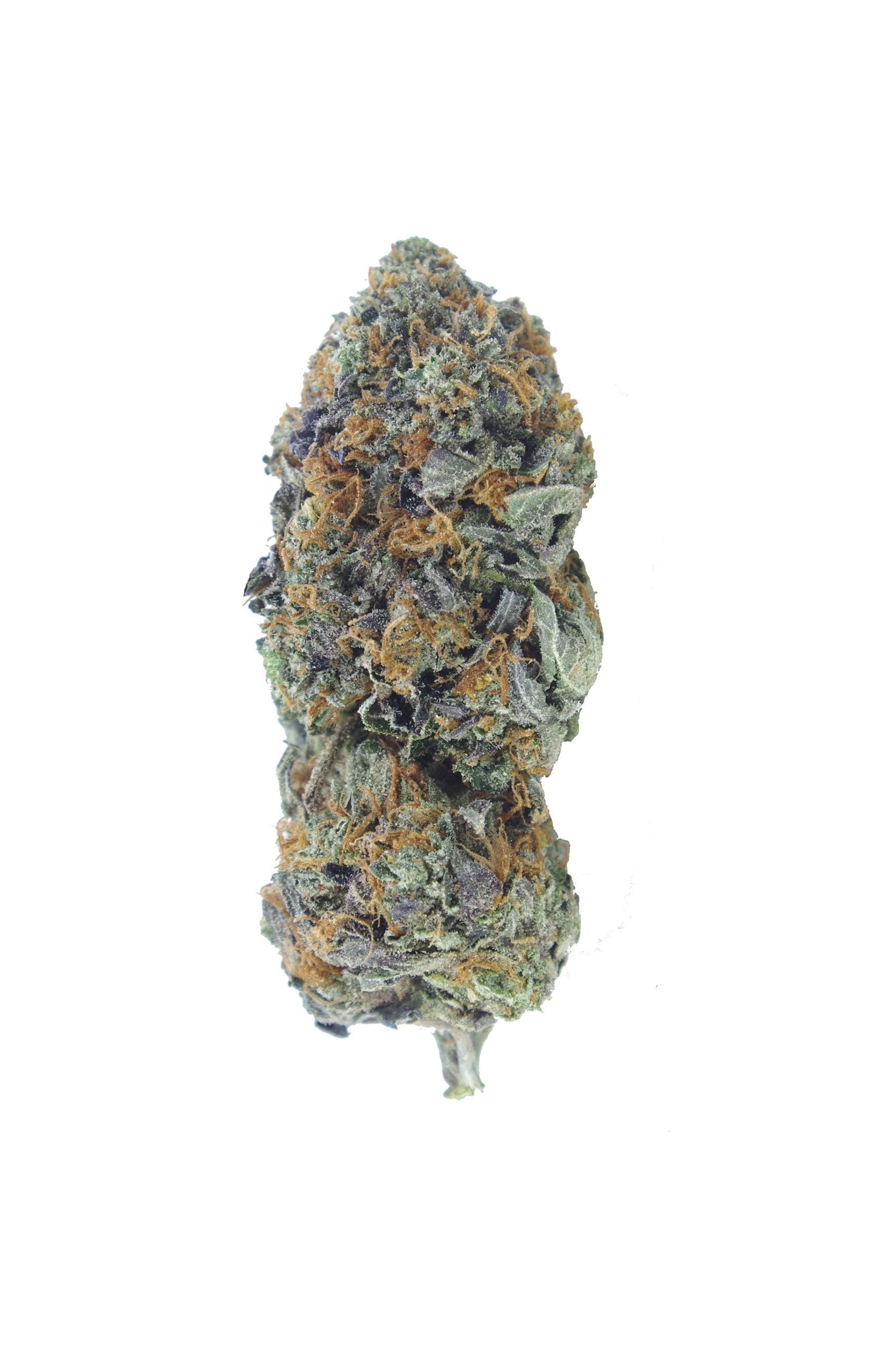 black death bud scaled Black Death Oz Special