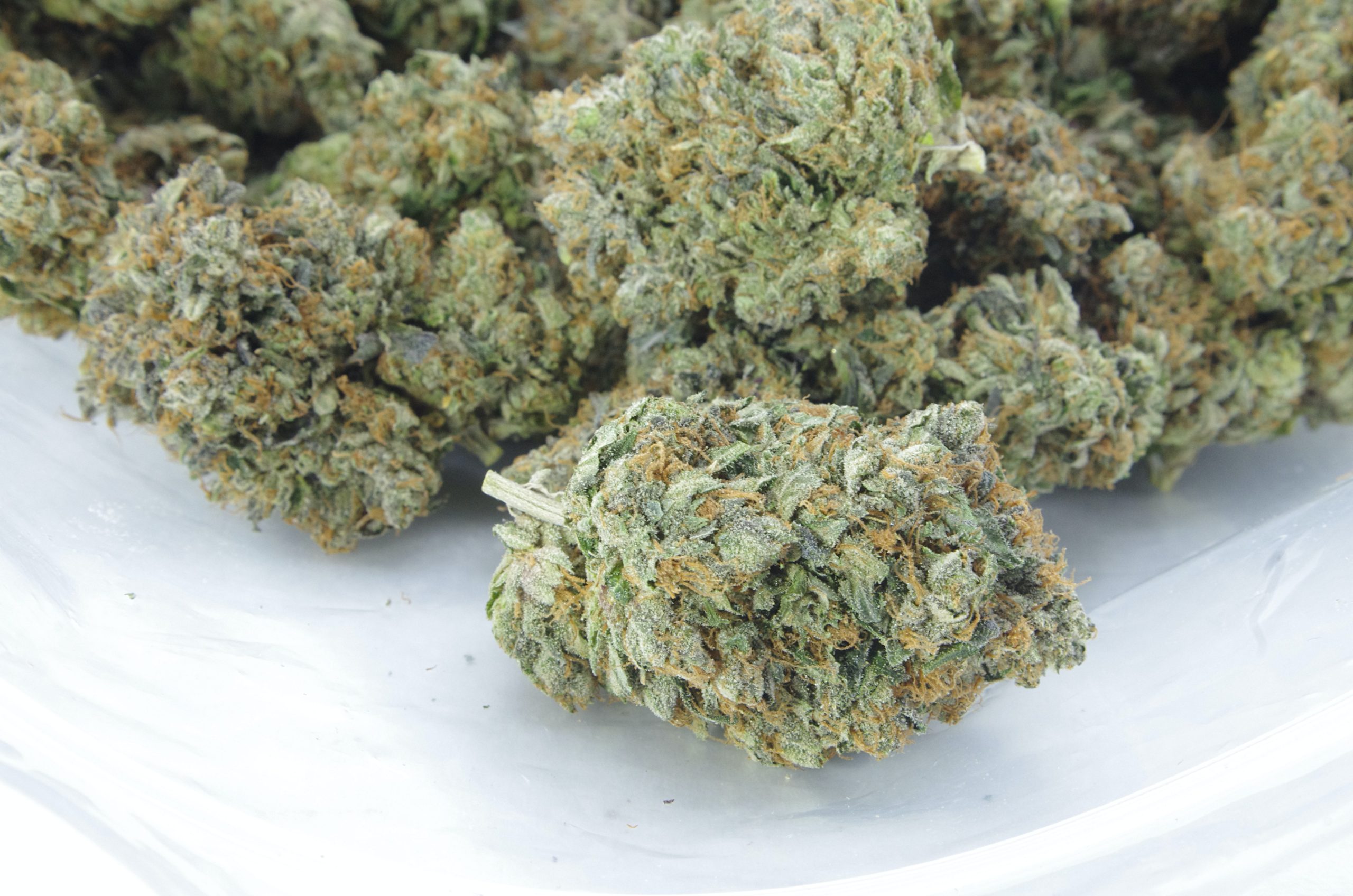 death bubbaa bag scaled Death Bubba Oz Special