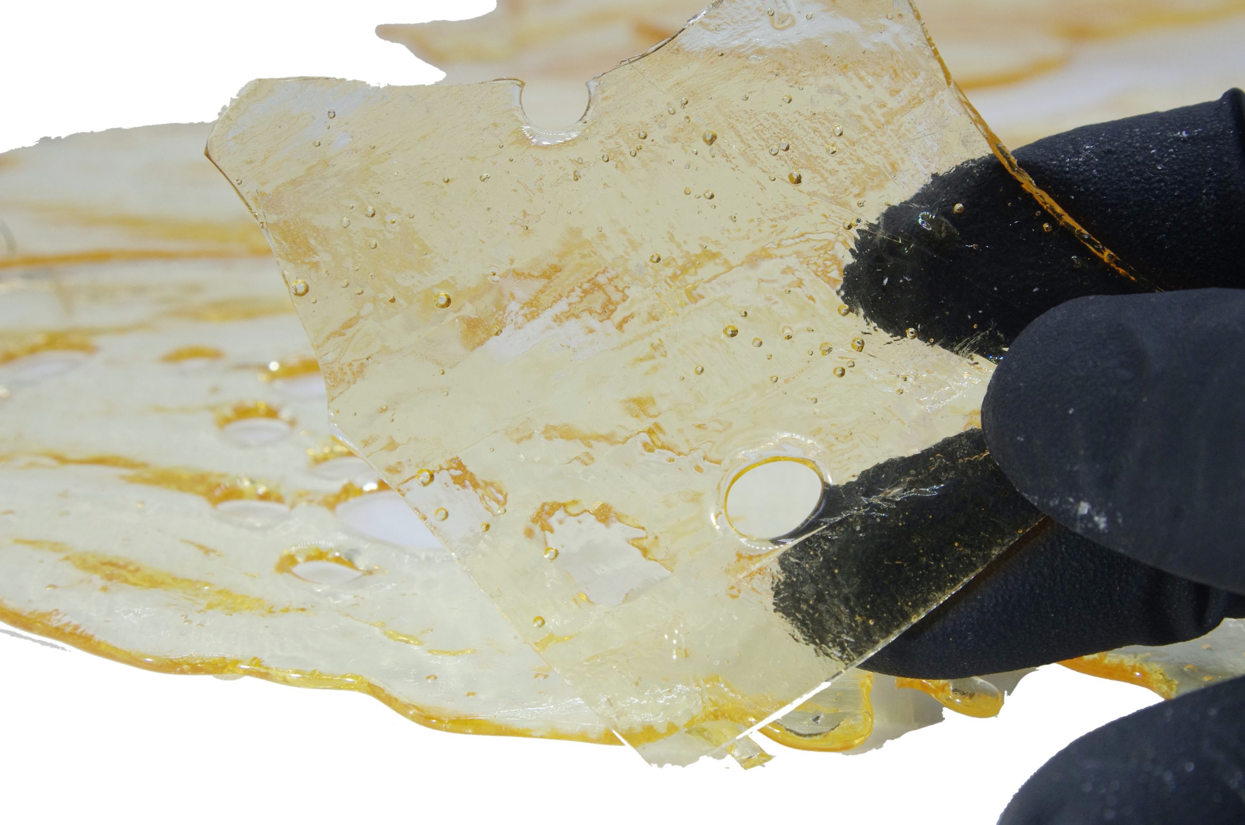 gelato shatter glove scaled Gelato Shatter