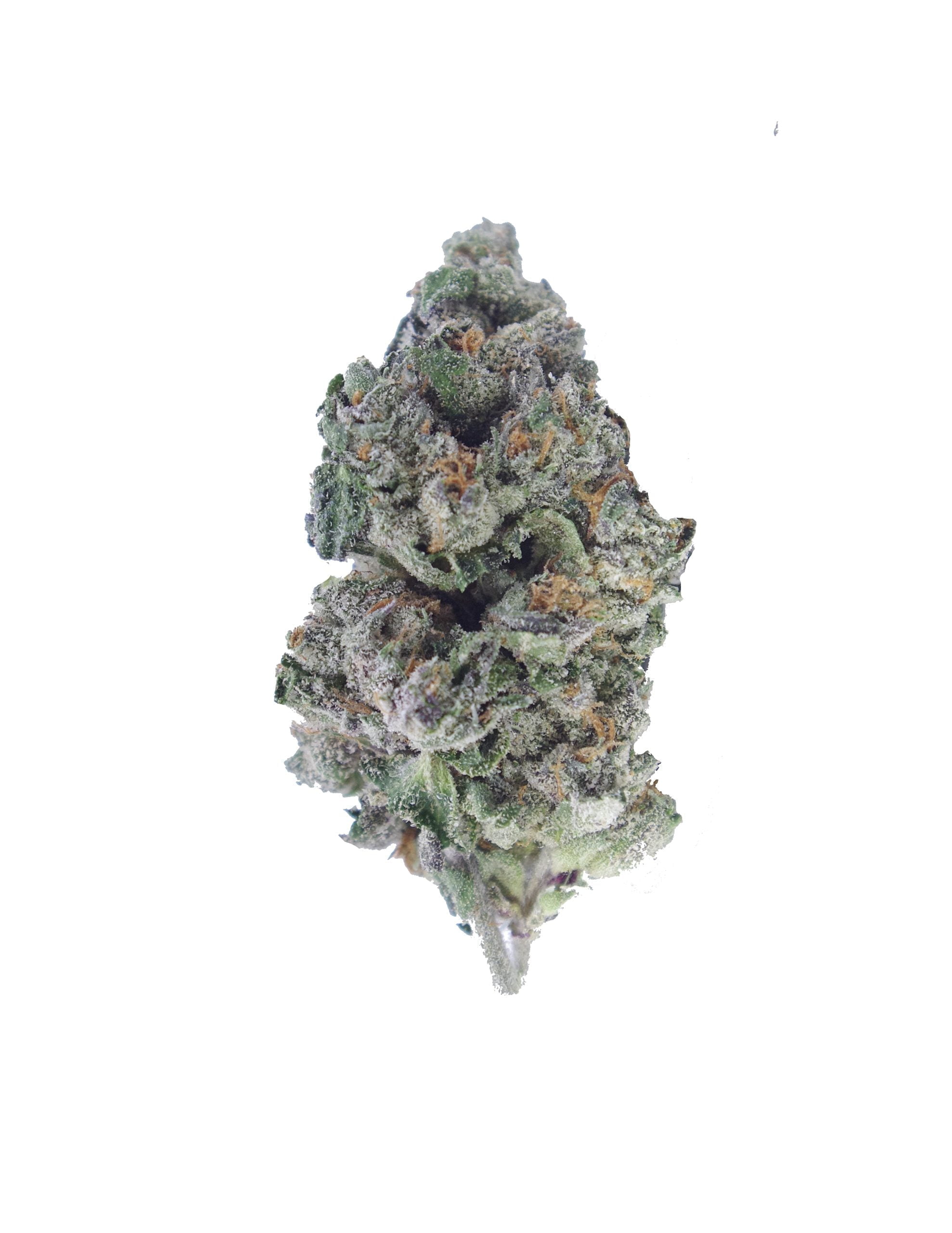 pineapple skunk bud scaled Pineapple Skunk (1/8ths)