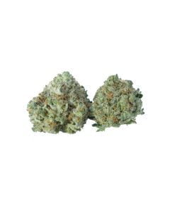 buy first class funk online