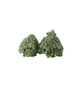 buy la cake online