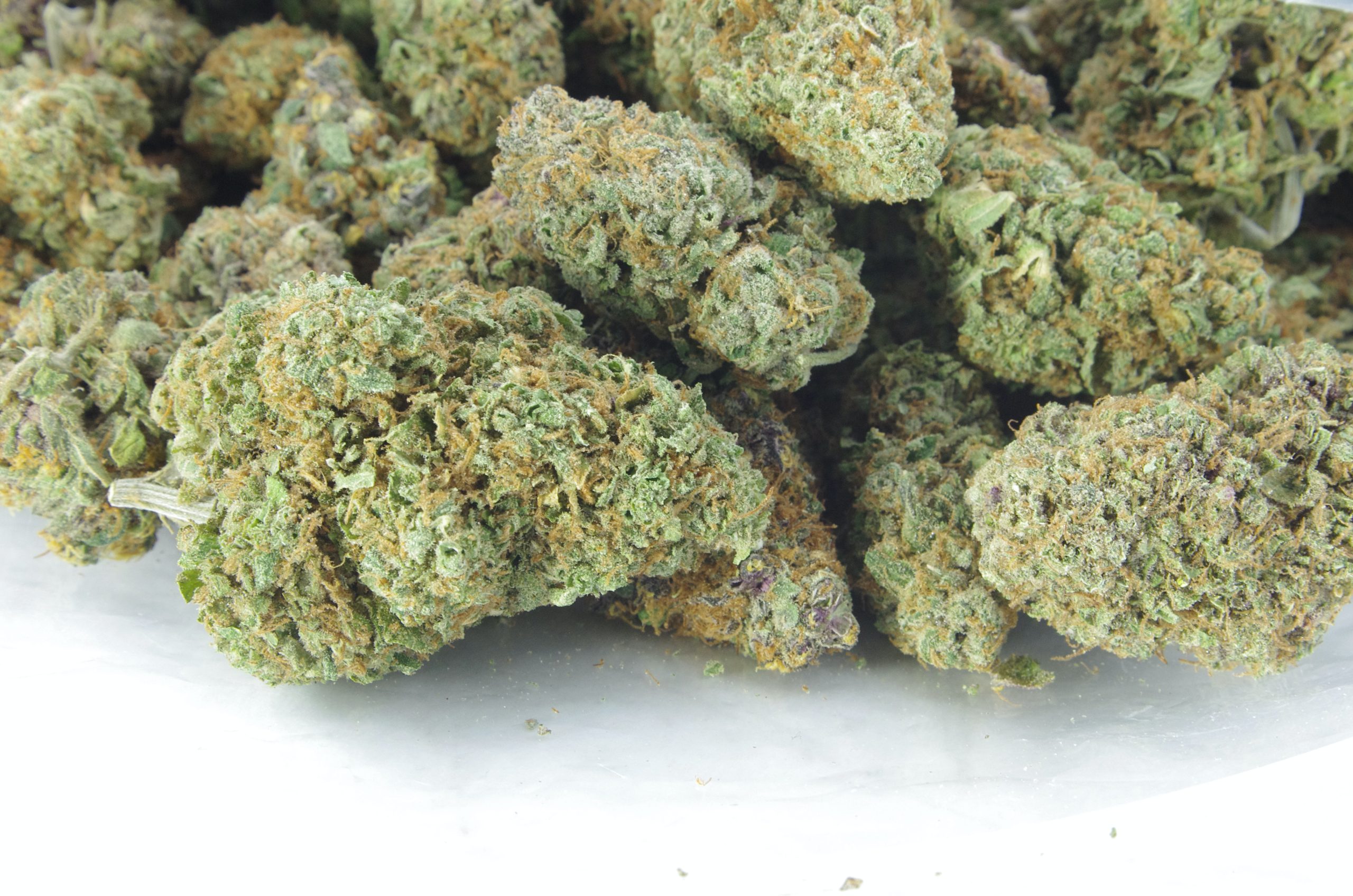 Trainwreck bag scaled Trainwreck (Oz Special)