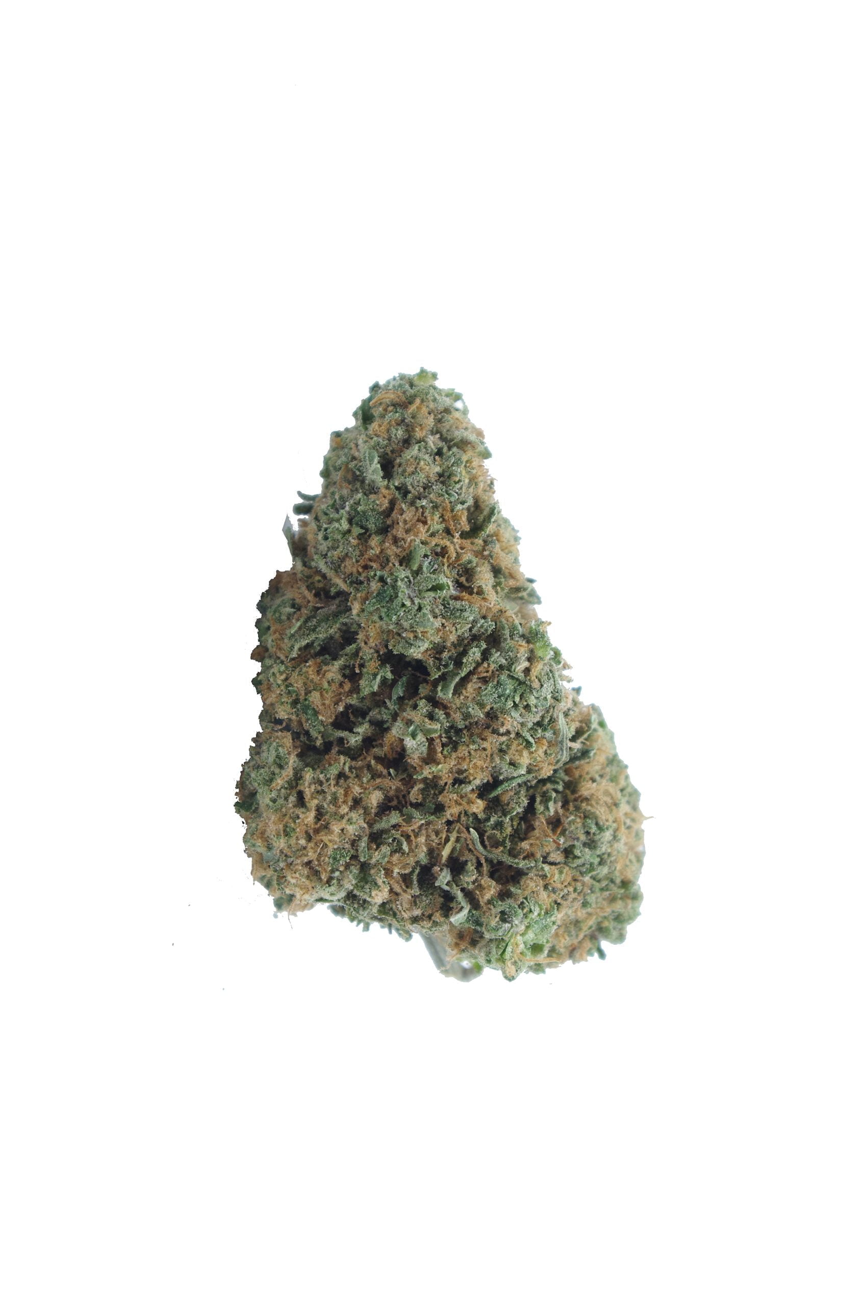 Trainwreck bud scaled Trainwreck (Oz Special)