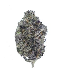 buy black truffle online
