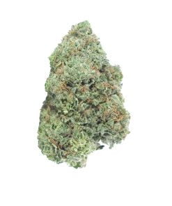 buy BC Roadkill online