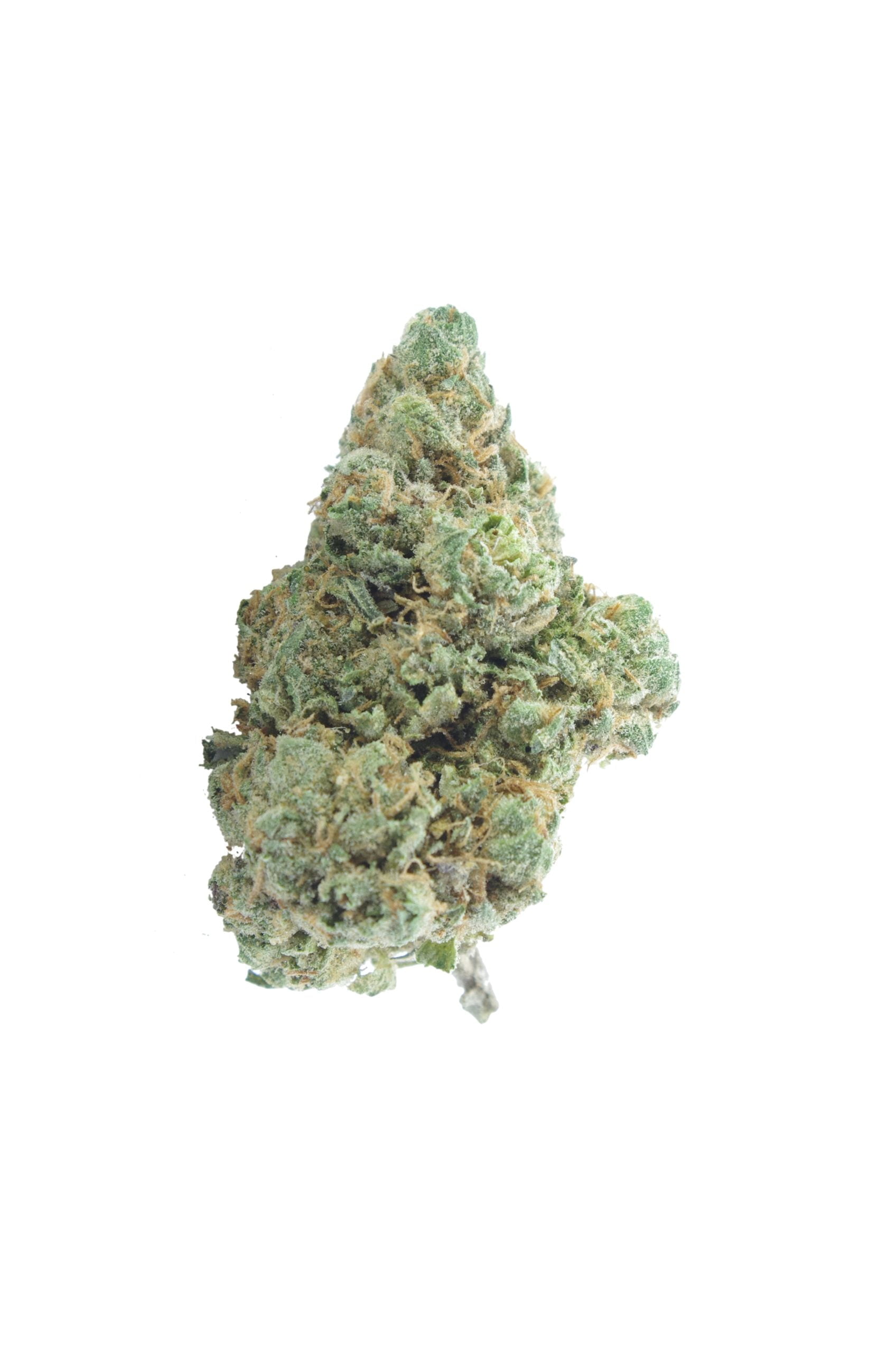 Blueberry diesel bud scaled Blueberry Diesel (Oz Special)