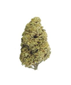 buy earth og