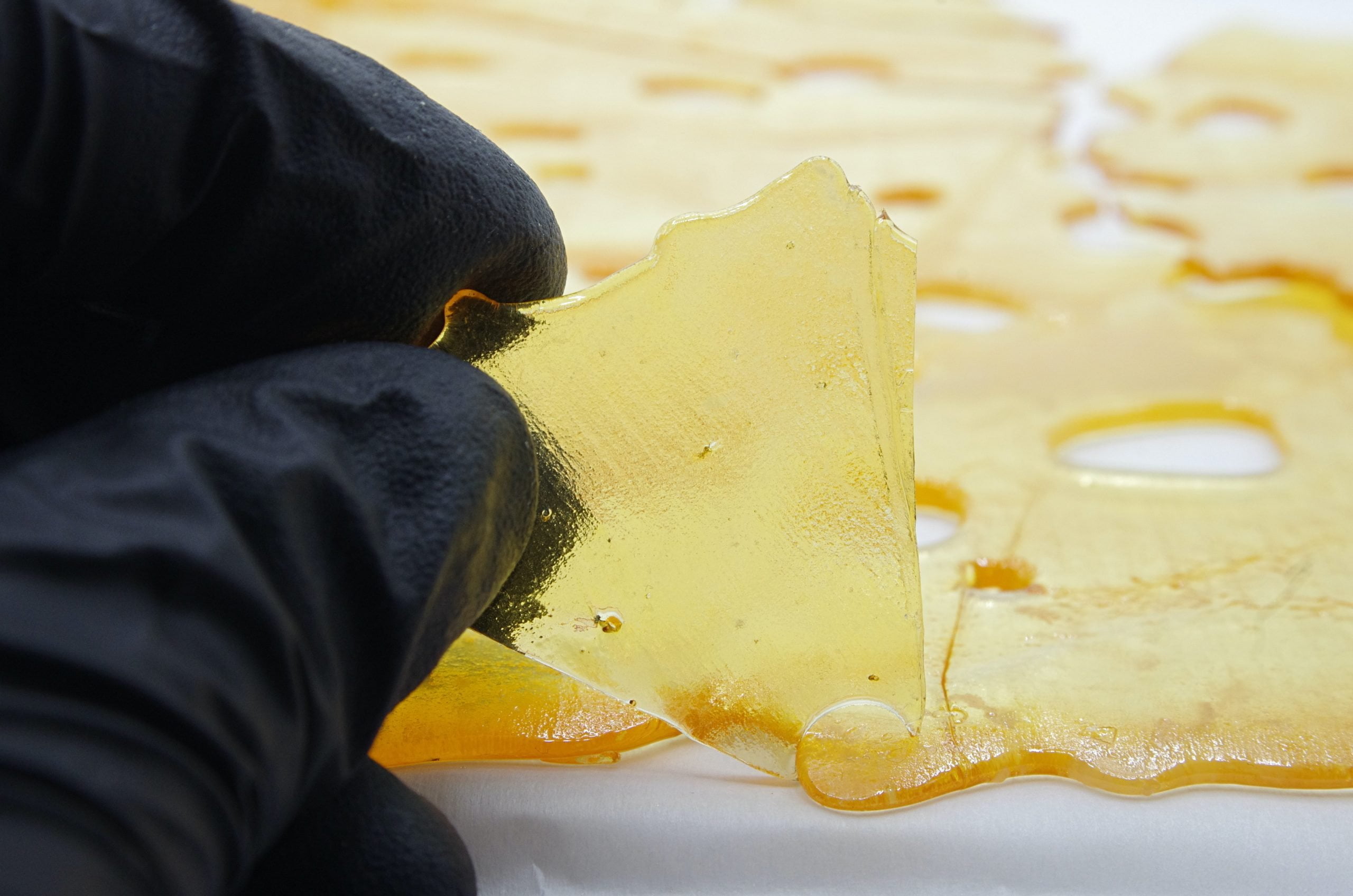 GDP Shatter glove scaled Afghan Kush Shatter