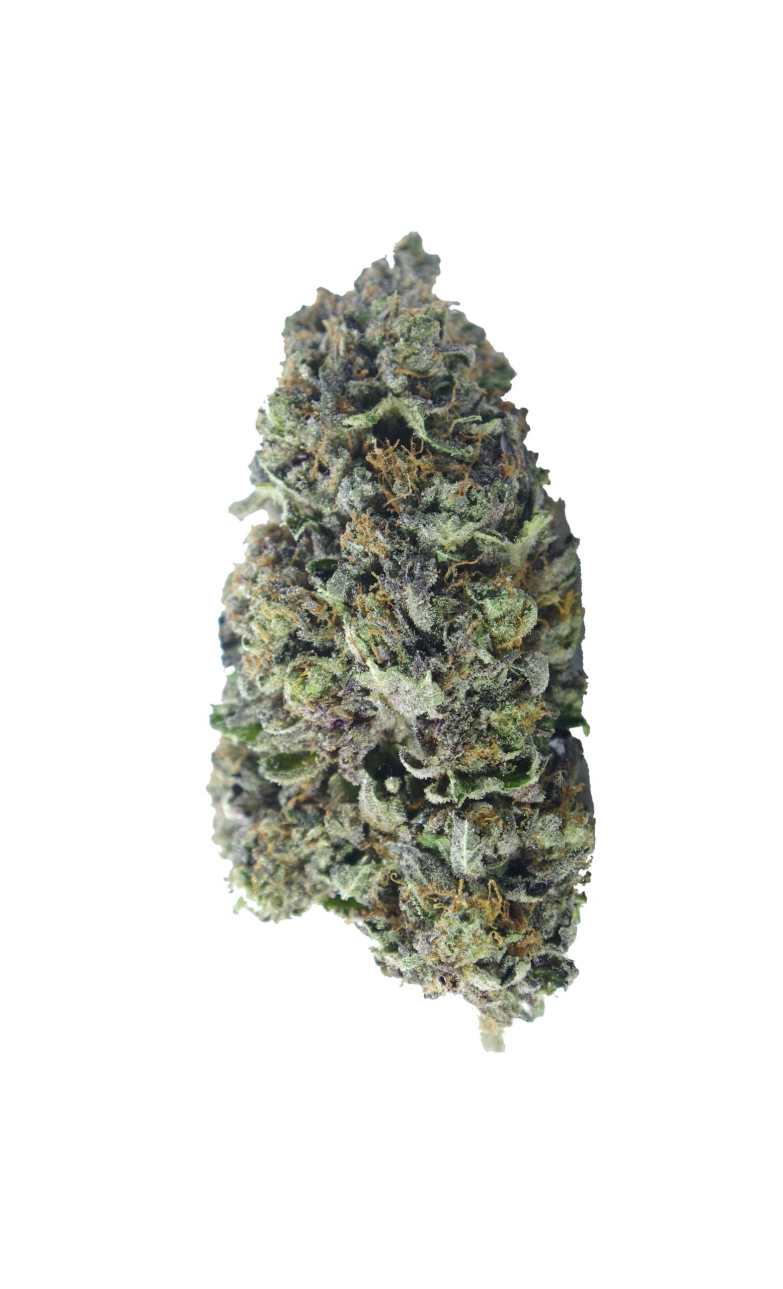 Gucci Pink Bud scaled Gas Militia - Gucci Pink (1/8th)